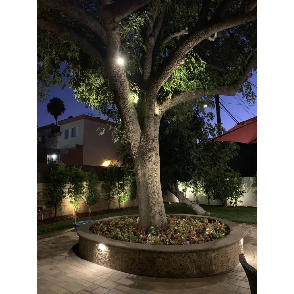 Abba Lighting MR16 LED 12V Brass Hanging Spot Light