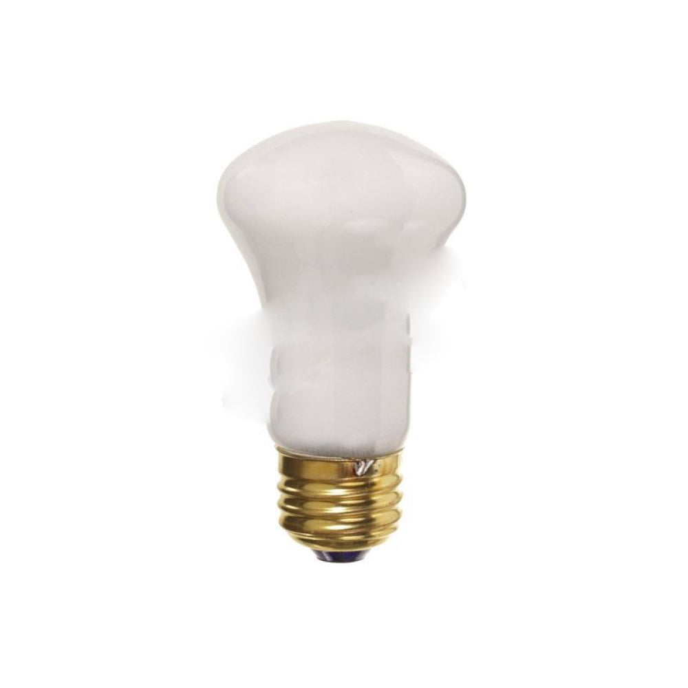 American Imaginations AI-37649 120V Unique White Light Bulb