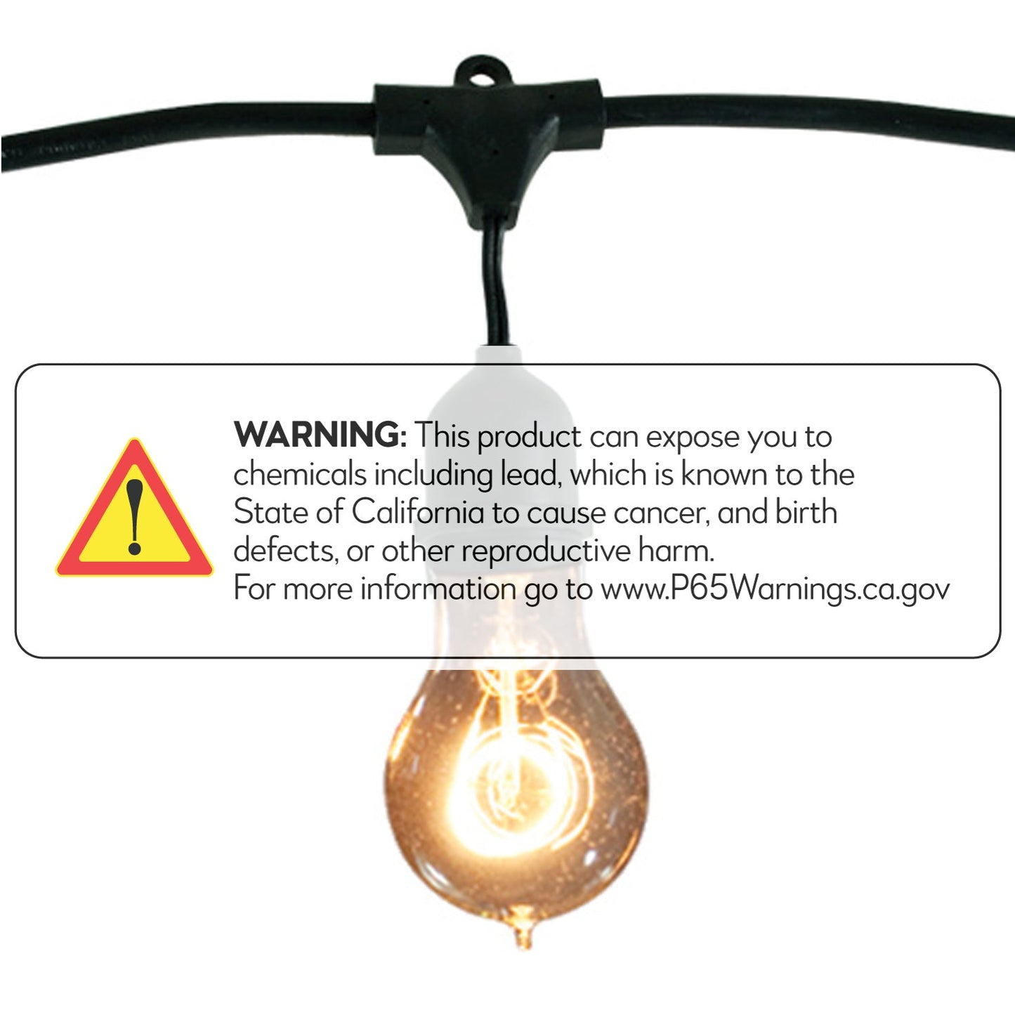 Bulbrite Nostalgic A19 Lamps 48' String Light