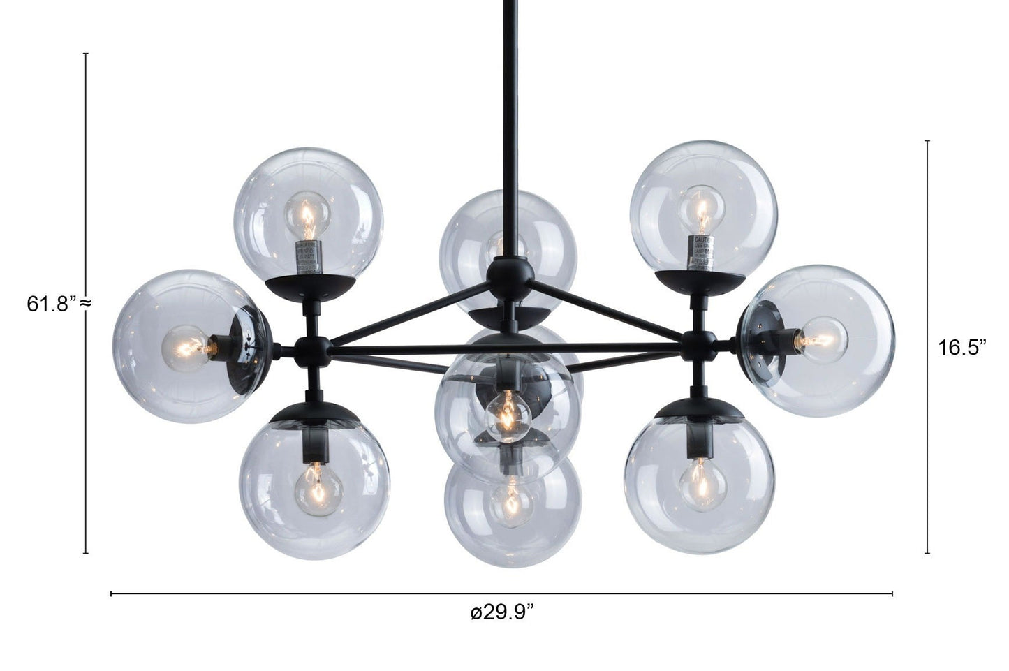 HomeRoots Abundant Ceiling Lamp in Black Finish