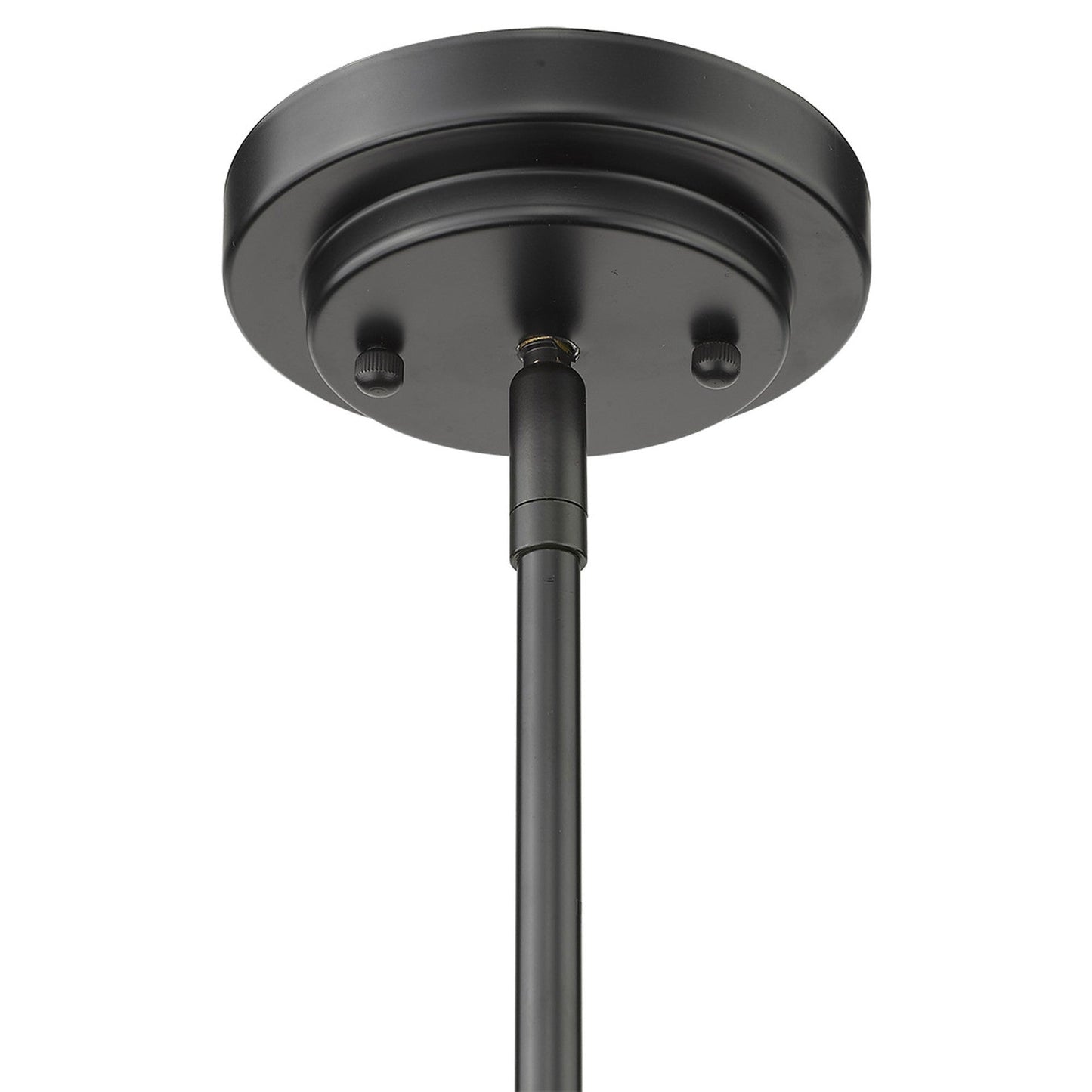 HomeRoots Amoret 4-Light Convertible Pendant in Matte Black Finish