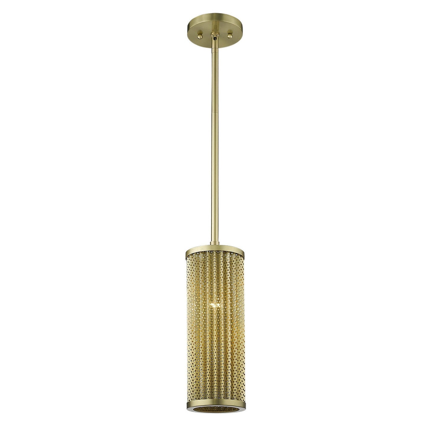 HomeRoots Basetti 1-Light Pendant in Gold Finish