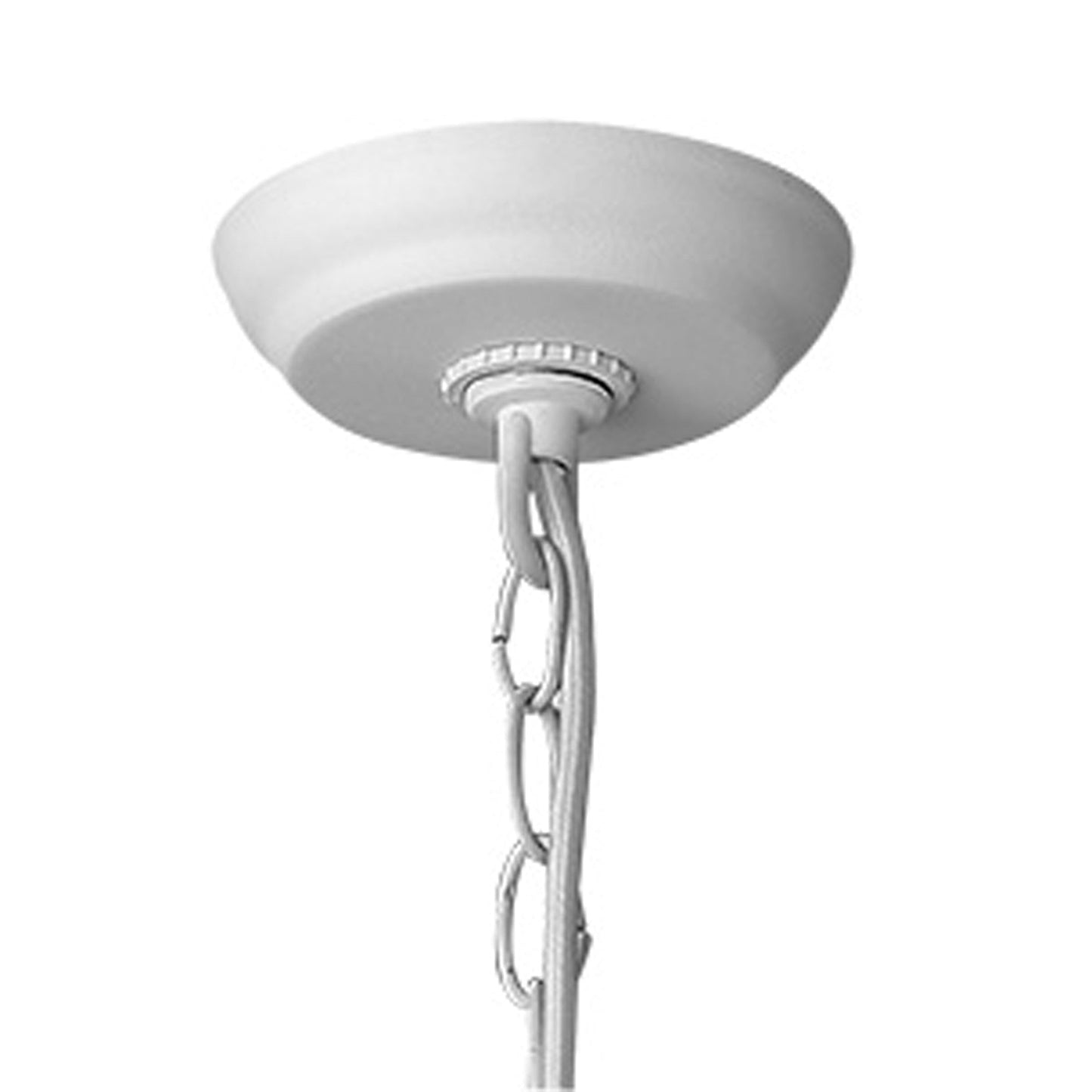 HomeRoots Crew 1-Light Pendant in White Finish