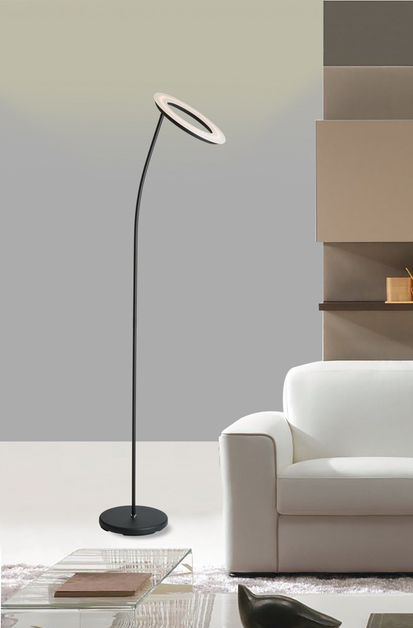 HomeRoots Floor Lamp With Halo Shade in Black Metal Finish