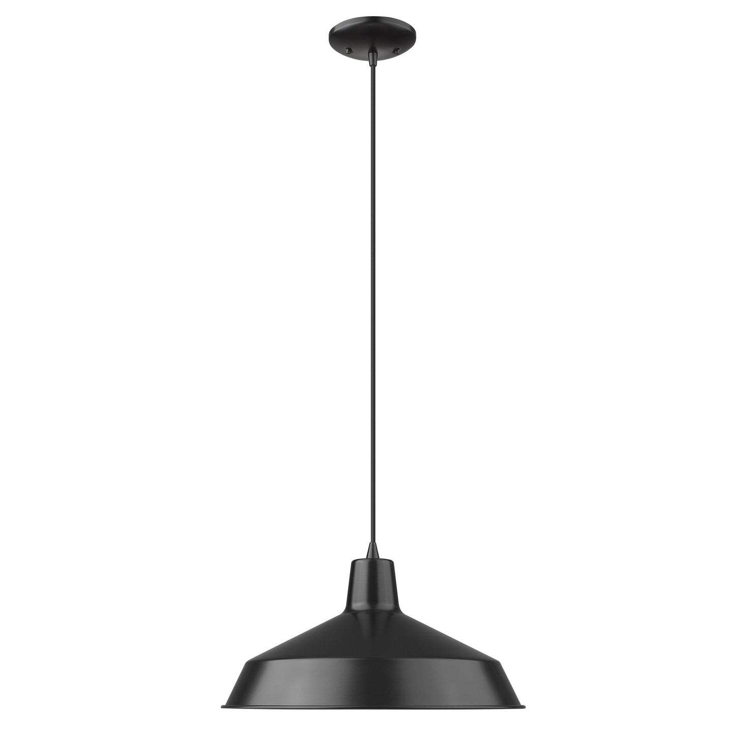 HomeRoots Industrial Hanging Light in Matte Black Finish