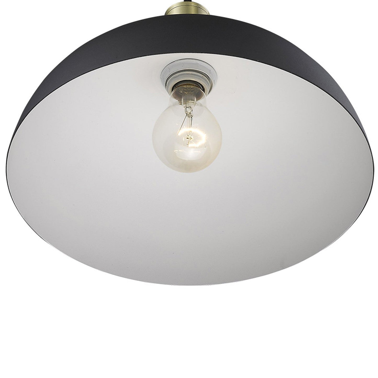 HomeRoots Ingo 1-Light Pendant in Matte Black Finish