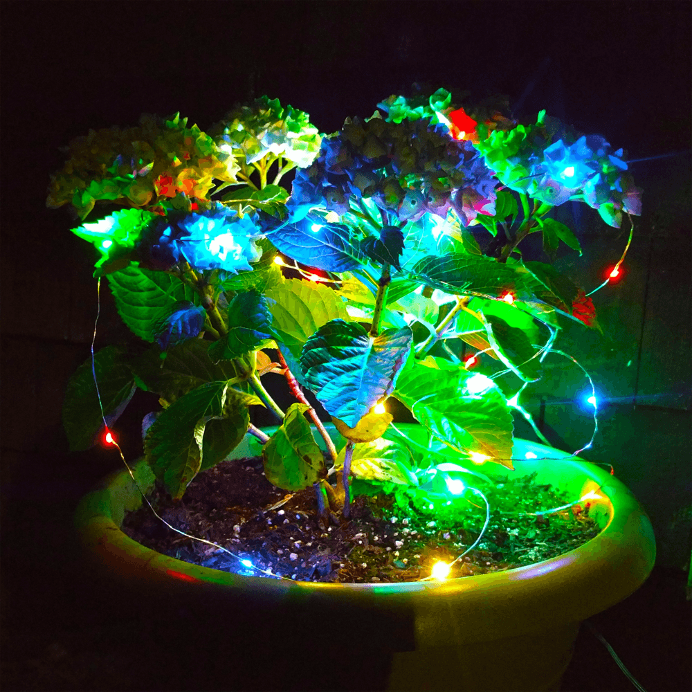 Hometown Evolution 50 Micro LED on Silver Wire 16.5 Foot Multi Color Battery Powered LED Fairy Light