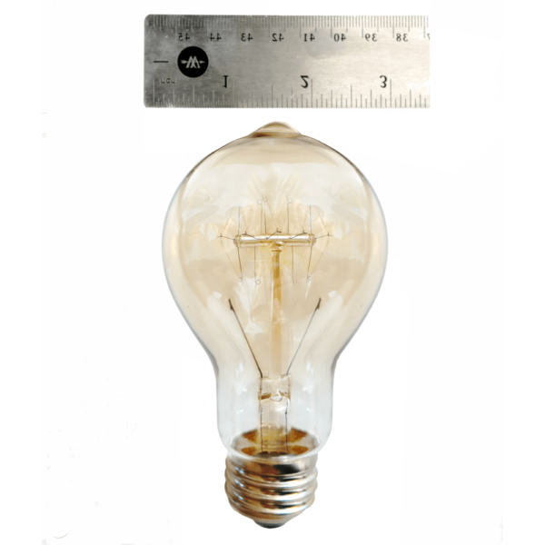 Hometown Evolution A19 Vintage Edison 40 Watts Square Light Bulb 3 Packs