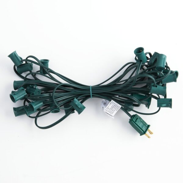 Hometown Evolution C7 25 Foot Green String Light