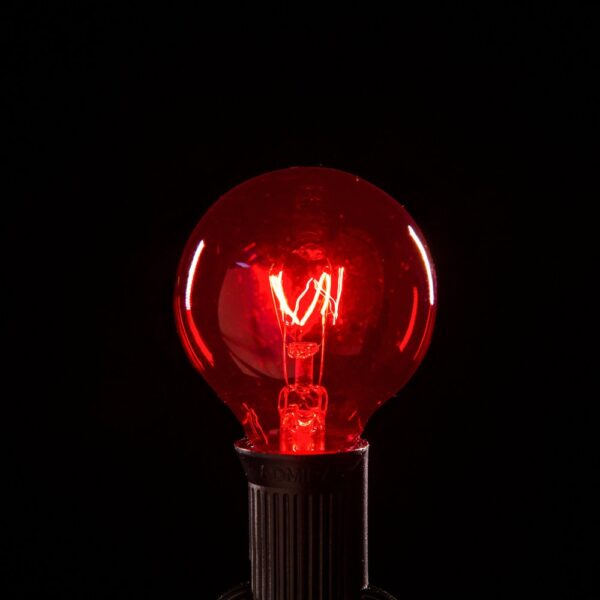 Hometown Evolution G40 Transparent Red Light Bulb with C7-E12 Base (Box of 25)