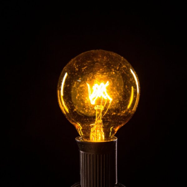 Hometown Evolution G40 Transparent Yellow Light Bulb with C7-E12 Base (Box of 25)