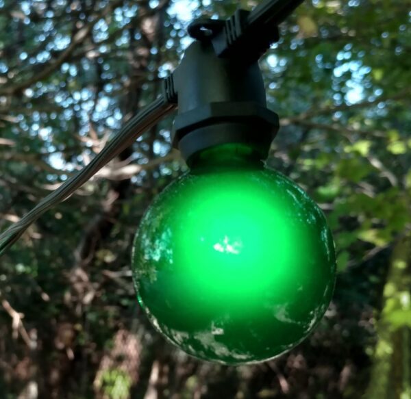 Hometown Evolution G50 Green Satin Light Bulb with C9-E17 Base (Box of 25)