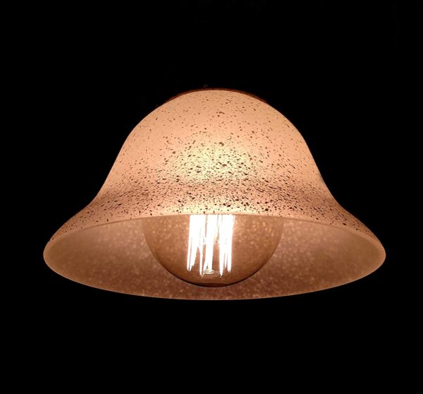 Hometown Evolution G80 Vintage Edison 40 Watts Light Bulb