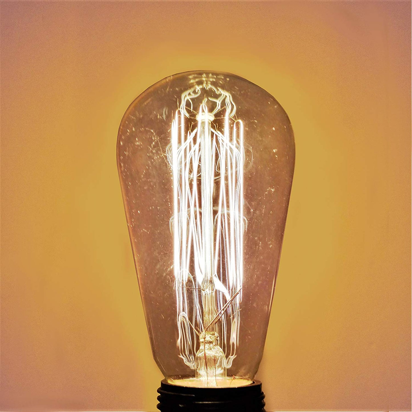 Hometown Evolution ST64 Lantern Vintage Edison 60 Watts Light Bulb 1 Pack