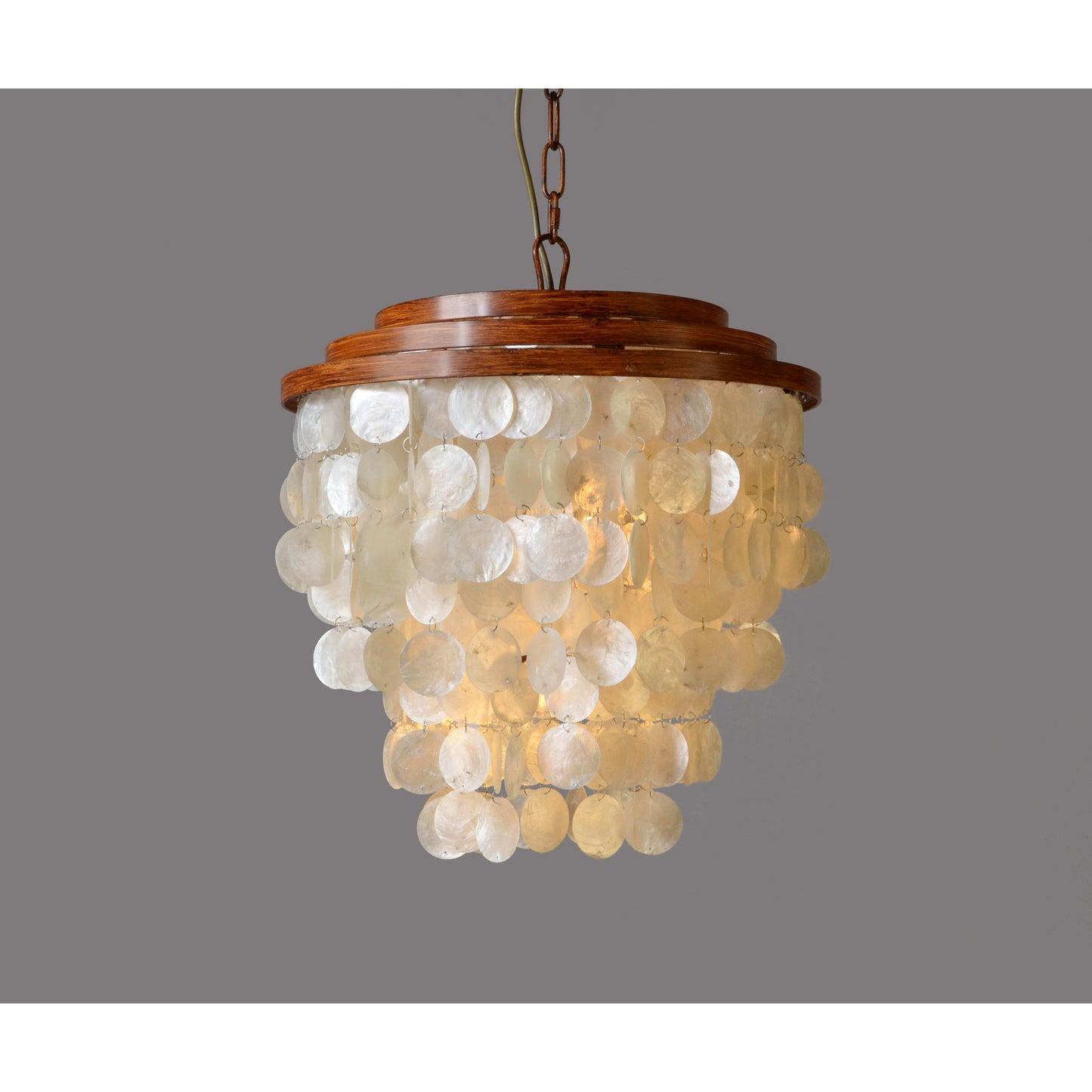 Meva Daisy 18" Brown/White Pendant