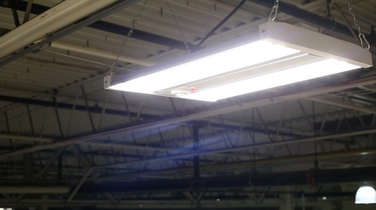 Straits Lighting Packard Linear High Bay - 150W - SU - 5000K - Frosted Lens 2x3