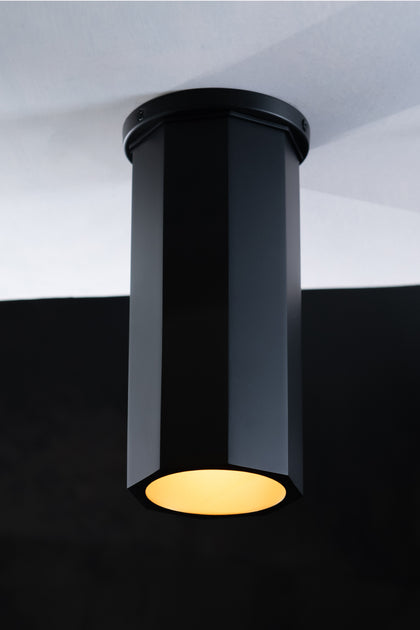 The Vault Octavia Downlight - Matte Black