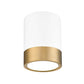 Z-Lite Algar 6" 1-Light LED Matte White and Modern Gold Steel With Frosted Acrylic Shade Flush Mount Light