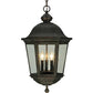 2nd Ave Lighting 15″Wide Tiamo Lantern Pendant