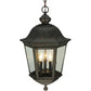 2nd Ave Lighting 15″Wide Tiamo Lantern Pendant