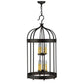 2nd Ave Lighting 18″ Muse Lantern Pendant