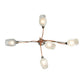 2nd Ave Lighting 30″L Ballerina 5 LT Chandelier