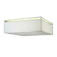 2nd Ave Lighting 36″Sq Quadrato Illusion Flushmount