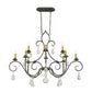2nd Ave Lighting 48″L Celine Oval 10 LT Chandelier