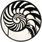2nd Ave Lighting 60″ Nautilus Flushmount