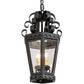 2nd Ave Lighting Cadenza 10" Pendant in Textured Black Finish