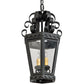 2nd Ave Lighting Cadenza 10" Pendant in Textured Black Finish