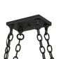 2nd Ave Lighting Caiden 50" Long 6 Light Pot Rack in Blackwash Finish