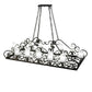 2nd Ave Lighting Carlotta 66" Long 12 LT Oblong Chandelier in Smoke Finish
