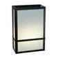 2nd Ave Lighting Ethan 8" Wall Sconce in Blackwash Finish