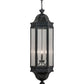 2nd Ave Lighting Gascony 18" Lantern Pendant in Antique Iron Gate Finish