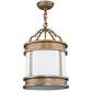 2nd Ave Lighting Wyant 12" Wide Pendant in Gilded Tobacco Finish