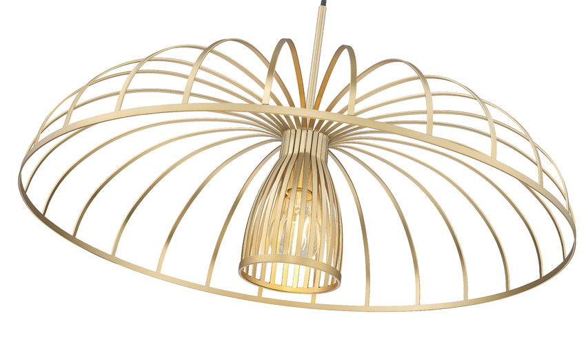 Z-Lite Valencia 24" 1-Light Modern Gold Steel Pendant Light