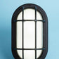 Euri Lighting Residential LED 6.2-Watts Non-Dimmable Wet Rated 6 Color Selectable Frosted Glass Lens Matte Black Housing Outdoor Bulkhead Wall Light