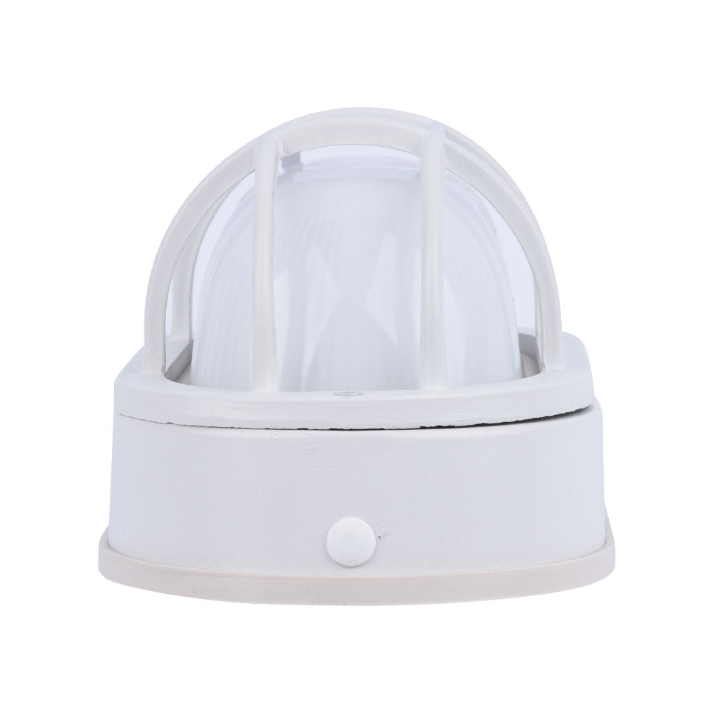 Euri Lighting Residential LED 6.2-Watts Non-Dimmable Wet Rated 6 Color Selectable Frosted Glass Lens Matte White Housing Outdoor Bulkhead Wall Light