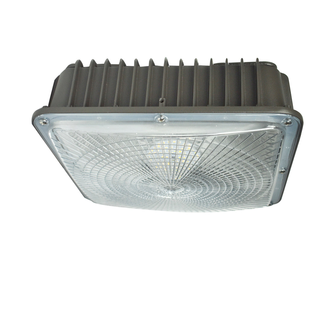 ATG 11" 75 Watt DUO Sector Canopy Light
