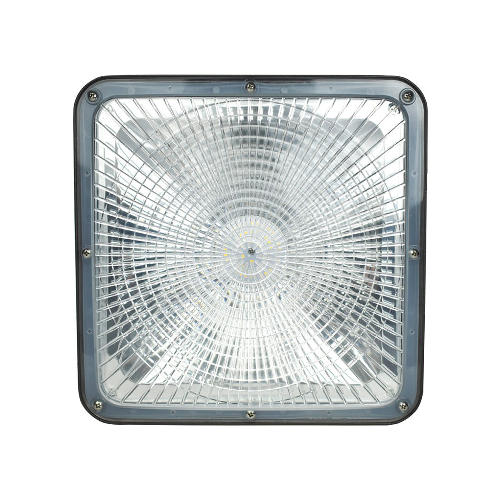 ATG 11" 75 Watt DUO Sector Canopy Light