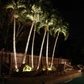 Abba Lighting 20W LED AC 12V COB 3000K Aluminum Tree Spot Light