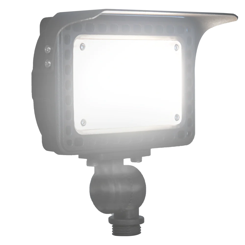 Abba Lighting 40W AC/DC 12V LED Low Voltage Aluminum Flood Light