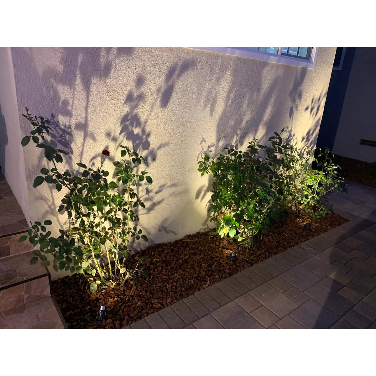 Abba Lighting 5W AC/DC 12V COB 3000K Aluminum Brown Spot Light