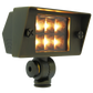 Abba Lighting 5W AC/DC 12V LED 3000K Brass Flood Light