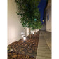 Abba Lighting CDPA55 Aluminum Black Path Light