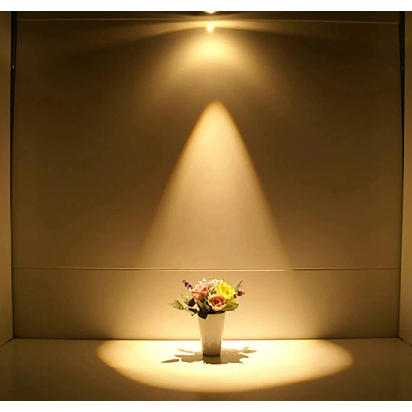 Abba Lighting MR16 5W LED AC/DC 12V COB 5000K Glass LED Bulb