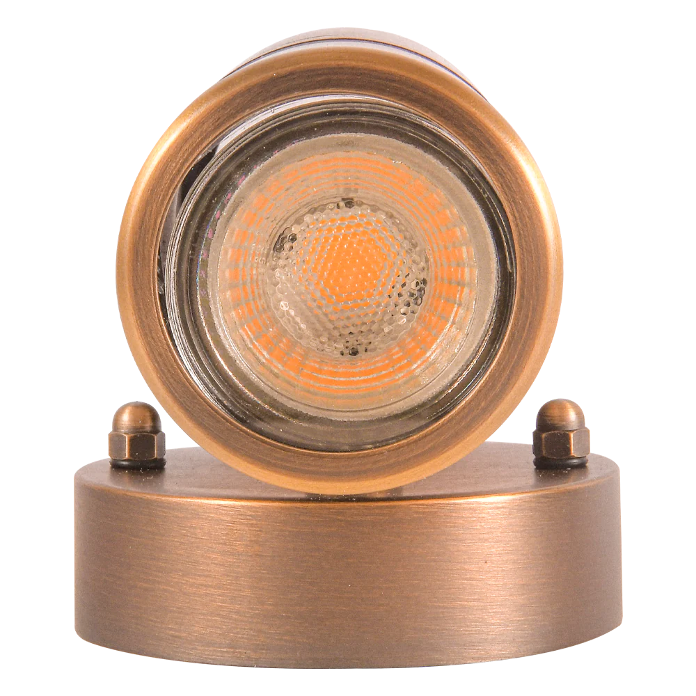 Abba Lighting SCB05 Brass Wall Light