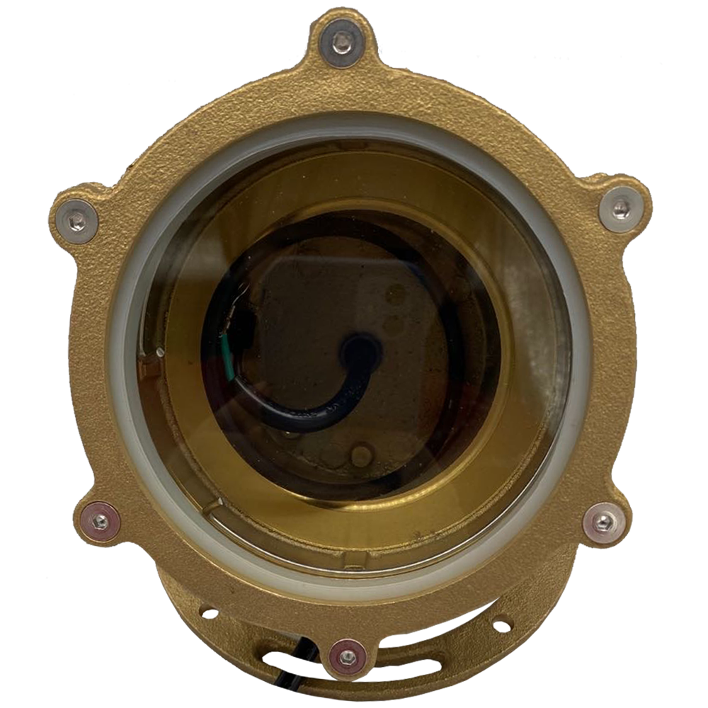 Abba Lighting ULB02 12V Brass Flood/Underwarer Pond Light