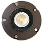 Abba Lighting UNB04 MR16 LED 12V Dark Brass Well Light